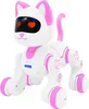 Power Kitty Junior - Ferngesteuerte, programmierbare Produktbild-Vorschau 2