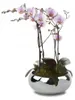 Keramik Blumentopf Schale silber glänzend Ø14 cm rund, Produktbild-Vorschau 2