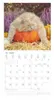 A cat sits on a pumpkin with a calendar overlay. Produktbild-Vorschau