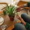 Plant Care Präzisions-Gartenschere Mit Behälter – Produktbild-Vorschau 13