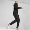 PUMA EVOSTRIPE FZ Hoodie PUMA BLACK S Produktbild-Vorschau 11