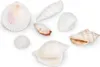 Muschelmix weiß 1 kg 1–6 cm Deko Muscheln Schneckenhäuser Produktbild-Vorschau 3