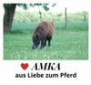 Ponysattel Shettysattel Holzpferdesattel 2. Wahl, ohne Produktbild-Vorschau 5