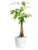 Mica Decorations Tusca Blumentopf - H25 x Ø28 cm - Weiß Produktbild-Vorschau 5