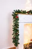 MagicHome vánoční girlanda, 50x LED, teplá bílá, 3xAA, 8 Náhled obrázku produktu 2