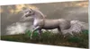 Glasbilder 125x50 Wandkunst Einhorn Wolken Produktbild-Vorschau 1