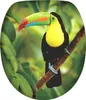 SANILO® WC-Sitz mit Absenkautomatik Toucan, Toilettendeckel Produktbild-Vorschau 2