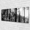 Glasbilder 125x50 Wandbild Druck auf Glas Wald Natur Produktbild-Vorschau 2