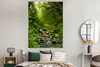 MuchoWow® Poster Natur - Wasser - Dschungel - Wald - Produktbild-Vorschau 4
