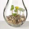 LED Tischleuchte mit Pflanze Ø 11 cm H 23 cm Glas 2-er Set Produktbild-Vorschau 9