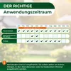 Legona SF-Nematoden gegen Trauermücken – 1 Mio., 2 m² oder Produktbild-Vorschau 3