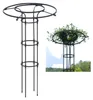 Spalliera da giardino, struttura in metallo, supporto Anteprima dell’immagine prodotto 1