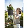 Blumenampel Elho Greenville Kunststoff Ø 24 cm H 49,5 cm Produktbild-Vorschau 5