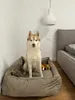 Hundebett Orthopädisches große Hunde, Waschbar Hundesofa Produktbild-Vorschau 4