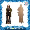 Harry Potter Pappaufsteller (Stand Up) - Sirius Black (178 Produktbild-Vorschau 4