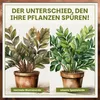 Green Home Grünpflanzen- & Palmenerde 72L – Pflanzenerde Produktbild-Vorschau 6
