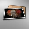 Gerahmtes Poster - Schwarzer Rahmen - Elefant Rot Ohren - Produktbild-Vorschau 3
