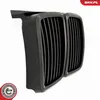 ESEN SKV 66SKV147 Griglia anteriore per BMW Serie 3 Berlina Anteprima dell’immagine prodotto 9