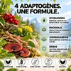 Spray Stress – Ashwagandha, Rhodiola, Reishi & Schisandra – Voir les images du produit 3