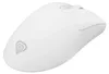 GENESIS Zircon 880 Pro, rechts, Optisch, RF Wireless + Produktbild-Vorschau 5