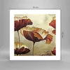 Poster - Poster ohne Rahmen - Mohn Blume Wiese - 40x40 cm - Produktbild-Vorschau 4