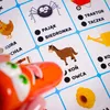 Lisciani Carotina 500 Fragen Farma 1283 Produktbild-Vorschau 10