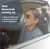 2er Notfallhammer Set Nothammer - mit Gurtschneider - Produktbild-Vorschau 6