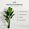 IvoQ Strelitzia - Plante artificielle de 210 cm - Grande Voir les images du produit 2