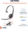 HP Poly BW 3210 USB-C HS+USB-C/A (Bulk) - Headset Produktbild-Vorschau 5