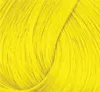 La Richè Directions Bright Daffodil 89 ml Produktbild-Vorschau 18