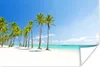 MuchoWow® Poster Tropisch - Strand - Palme 60x40 cm - Produktbild-Vorschau 1