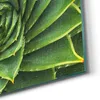 DEQORI Hybrid Leinwand Bild 90x60 cm 'Alchemie der Aloe' Produktbild-Vorschau 5