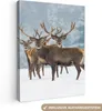 MuchoWow® - Leinwandbilder - Hirsche - Tiere - Schnee - Produktbild-Vorschau 1