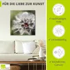 ARTland Leinwandbild Pusteblume II Größe: 40x40 cm Produktbild-Vorschau 2