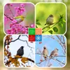 A collage of four images depicting birds in different seasons, with a small icon representing the four seasons in the center. Náhled obrázku produktu