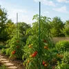 KADAX Blumenstütze aus Stahl "Kluk", Pflanzen-Rankstab, Produktbild-Vorschau 2