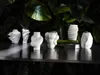 Rosenthal Fast, andere, Porzellan, Weiß, Glänzend, Tisch, Produktbild-Vorschau 8