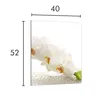Glasschneidebrett 40x52 Orchidee Produktbild-Vorschau 2