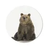 MuchoWow® Mauspad Mousepad Braunbär - Tiere - Bär - Produktbild-Vorschau 1