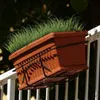 BELLE VOUS 6 STK Künstliche Pflanzen Gras Kunstpflanze – Produktbild-Vorschau 15
