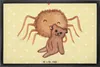 Mr. & Mrs. Panda fußmatte Spinne Agathe Teddy 50 x 75 cm - Produktbild-Vorschau 1