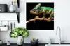 MuchoWow® Poster Chamäleon - Zweig - Grün 50x50 cm - Produktbild-Vorschau 3