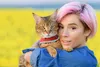 5x PH CONTROL Einweg-Katzenklo, Bentonit-Katzenstreu mit Produktbild-Vorschau 16