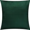 2-Set SAMT KISSENBEZUG 40x40cm FLASCHENGRÜN Velours Produktbild-Vorschau 1
