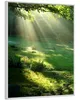 Wallario Wandbild Sonnenstrahlen im Wald, Größe: 40,30 x Produktbild-Vorschau 2
