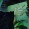 HOMCOM 183 cm Decorazione di Halloween: strega di Halloween Anteprima dell’immagine prodotto 8