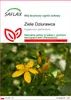 SAFLAX - Ziele Dziurawca - 300 Nasiona - Hypericum Podgląd zdjęcia produktu 1