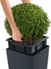 Jardinière Cubico Color 40 ALL-IN-ONE LECHUZA, gris Voir les images du produit 7