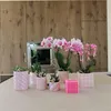 Kolibri Home | Candy Ornamental Pot | Hoch Produktbild-Vorschau 8