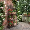 CLP Pflanzenregal Metall klappbar Flora, Blumenregal 4 Produktbild-Vorschau 3
